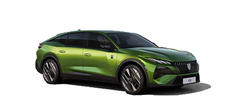���̌f����Peugeot�p�̏������̖ړI�Őݒu����Ă��܂��B